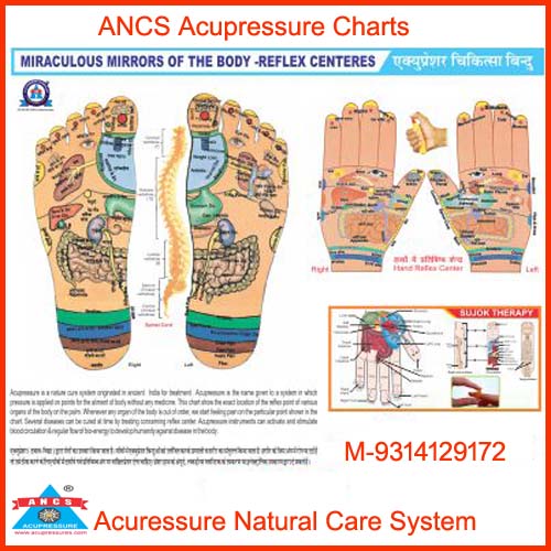 Acupressure+Sujok Chart 11
