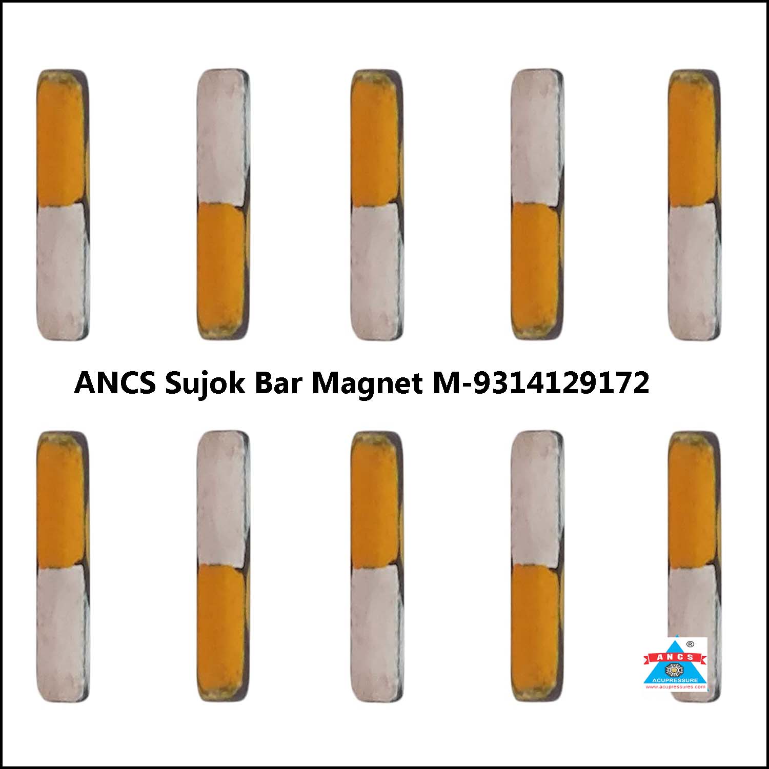 Sujok Bar Magnet General Set-10