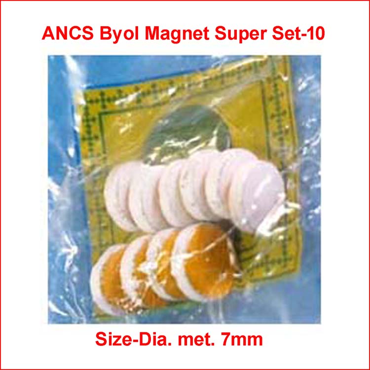 ANCS sujok byol magnet super big 10pc 