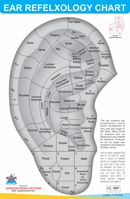 Ear Refelxology Chart