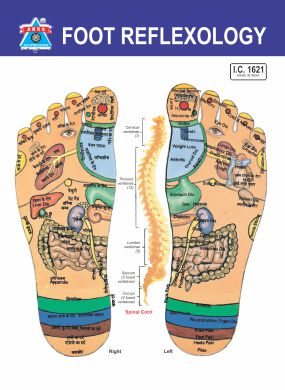 ANCS Acupressure Reflexology V.Card  Foot (100pc) 