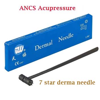 Acupuncture Hammer 7 Star