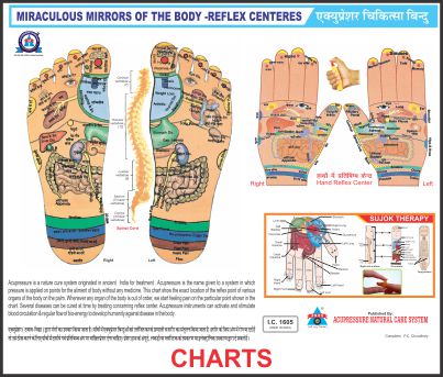 Acupressure + Sujok Chart Reflex Big Size (23X36)
