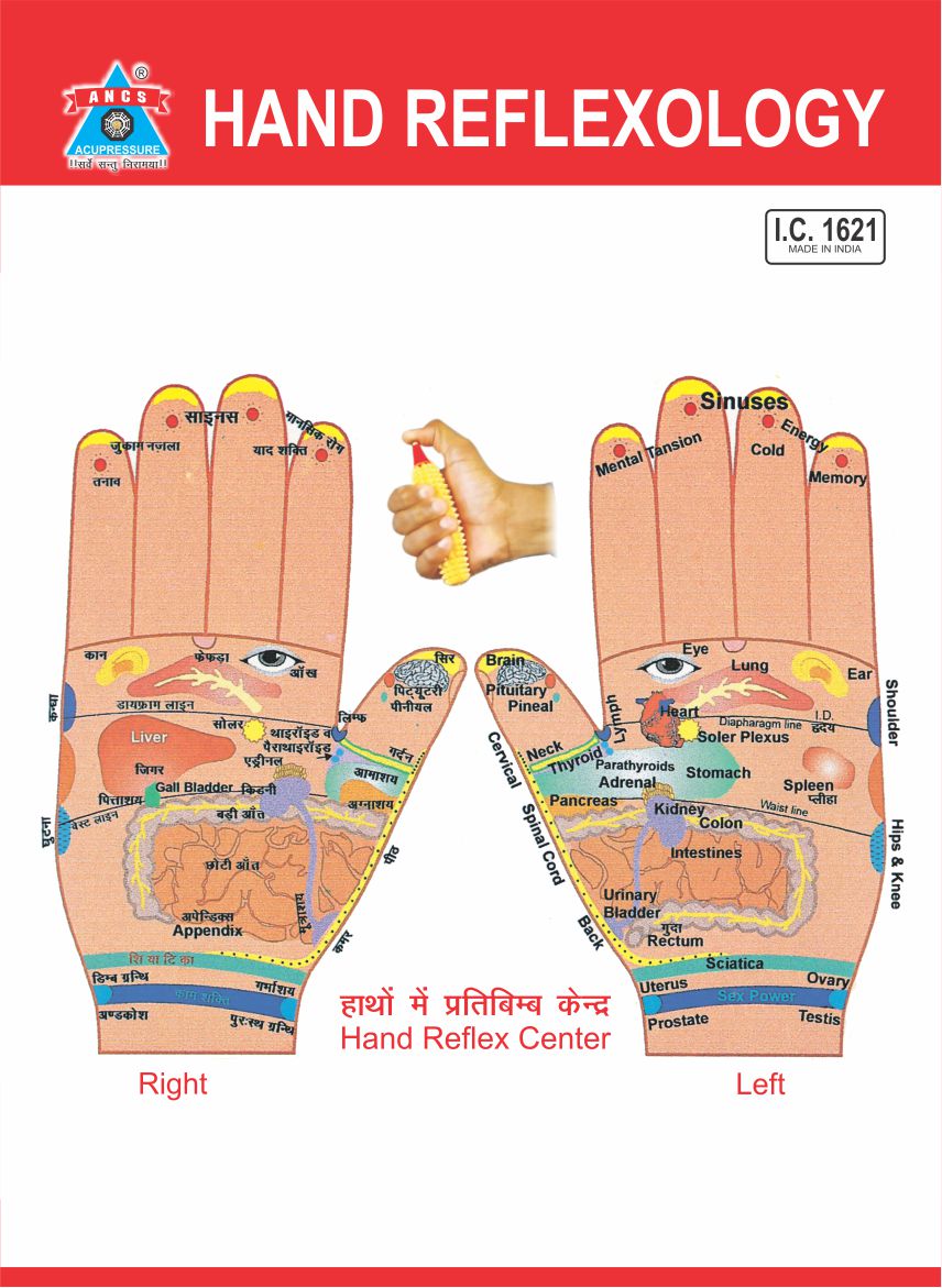 acupressure products in india acupressure natural care acupressure trigger points chart