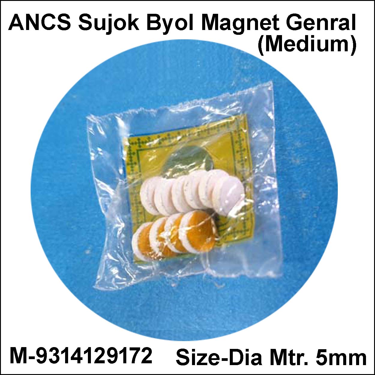ANCS sujok byol magnet medium General 10pc 