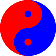ANCS Yin-Yang Symbol
